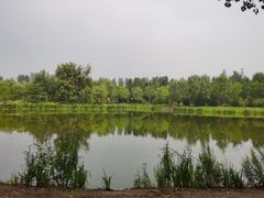 -东郊湿地公园