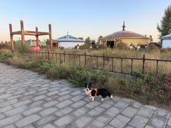 -坝上草原大汗行宫旅游景区