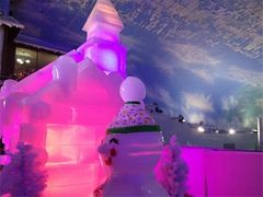 -世界之窗阿尔卑斯冰雪世界