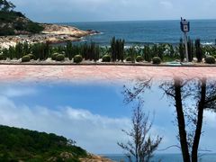 -广东惠东海龟国家级自然保护区