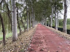 -东郊湿地公园