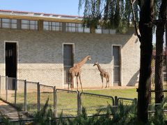 -石家庄市动物园