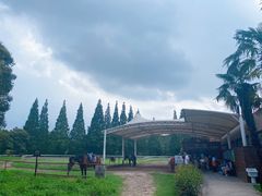 -太阳岛度假酒店