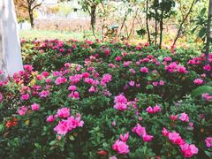 -白塘生态植物园