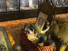 -雪灵魔法世界SHELLY’S TAROT(大良桂畔里店)