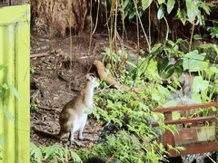-热带雨林自然公园