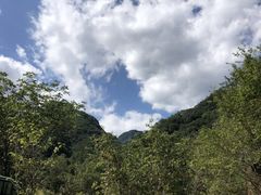 -牛背梁国家森林公园