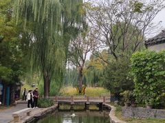 -春风习习
