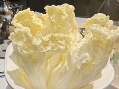 -七采菌园·石锅鱼野生菌火锅(环城北路店)