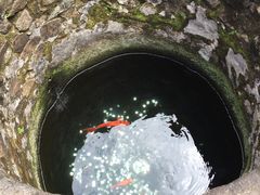 -南靖田螺坑土楼群景区
