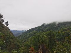-牛背梁国家森林公园