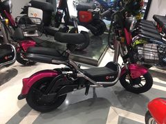 -雅迪电动车(北艾路店)
