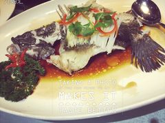 九朝会(望京店)-九朝会昆曲·宴(望京店)