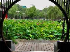 -四川大学(望江校区)