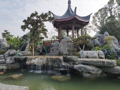 -东莞植物园
