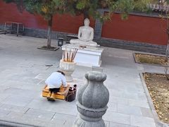 -护国法轮寺