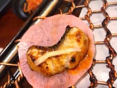 碳烤鳗鱼-百年食客韩式烤肉(南三环店)