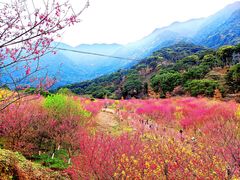 -福清灵石山国家森林公园