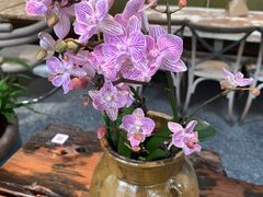 -北平小院设计酒店
