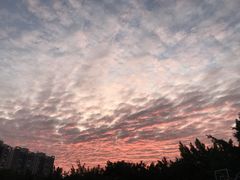 -广州市第二中学高中部(科学城校区)