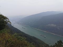 -铁山坪森林公园