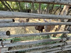 -辛玛王国游乐园