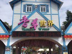 -广东花都香草世界旅游度假区