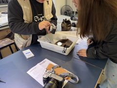 -兰拓相机租赁·维修·二手(上海店)