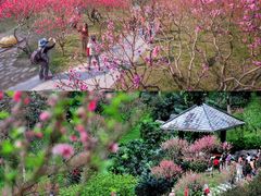 -桃花涧