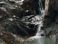 -广州白江湖森林公园