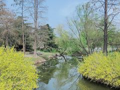 -上海滨江森林公园