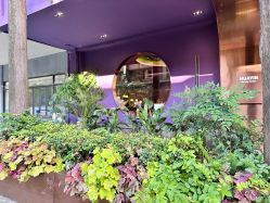 -花隐·美芙炫海菲秀皮肤管理中心