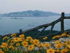 -枸杞岛