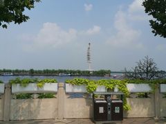 -白洋淀景区