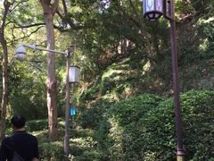 -铁路文化公园