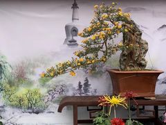 -北海公园