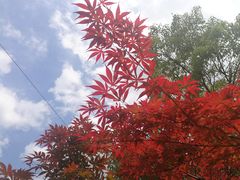 -溪口-滕头旅游景区