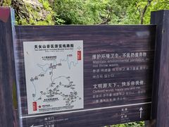 -天女山森林公园