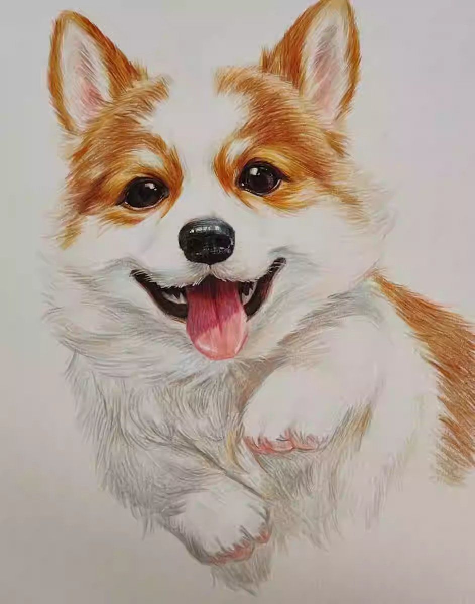 狗狗卡通画来啦