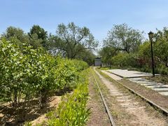 -永定河休闲森林公园