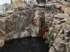 -香雪海