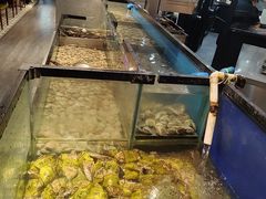 -遇上西雅图多融合海鲜自助餐厅(中房金谊广场店)