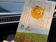 -喜茶(深圳丰盛町店)