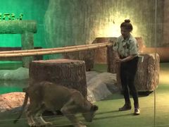 -清迈夜间动物园