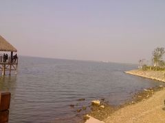 android_upload_pic-瑶湖郊野森林公园