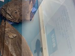 -大连自然博物馆