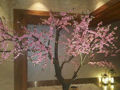 -爱乐国际温泉水疗会