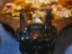 -雲蜀龙阁·金牌水煮鱼(方庄店)