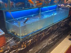 -芭菲盛宴·环球美食(袁家岗店)