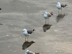 -星海广场